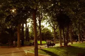 Temple of Debod Madrid garden central