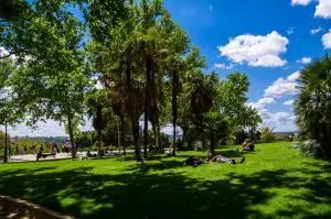 Temple of Debod Madrid gardens