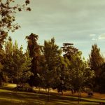 Madridallincluded-west-park-gardens-rosales