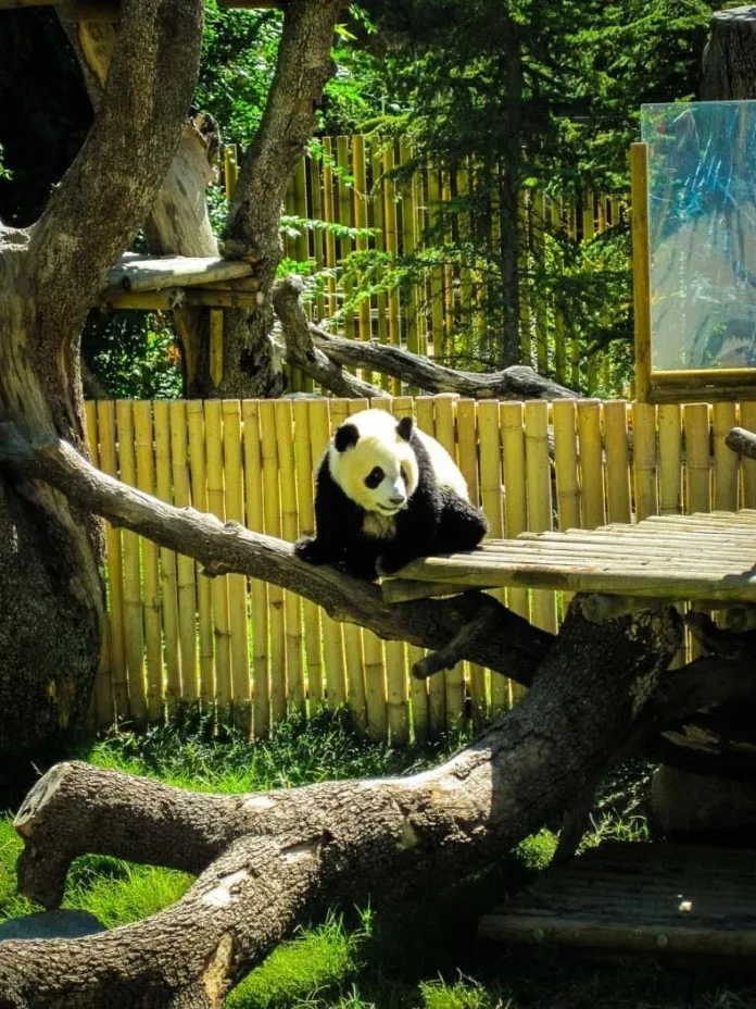 Madrid Zoo Aquarium park