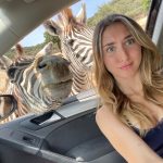 Safari Park Madrid Zebra – Madridallincluded.com