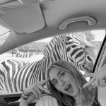 Safari Park Madrid Zebra bnw – Madridallincluded.com