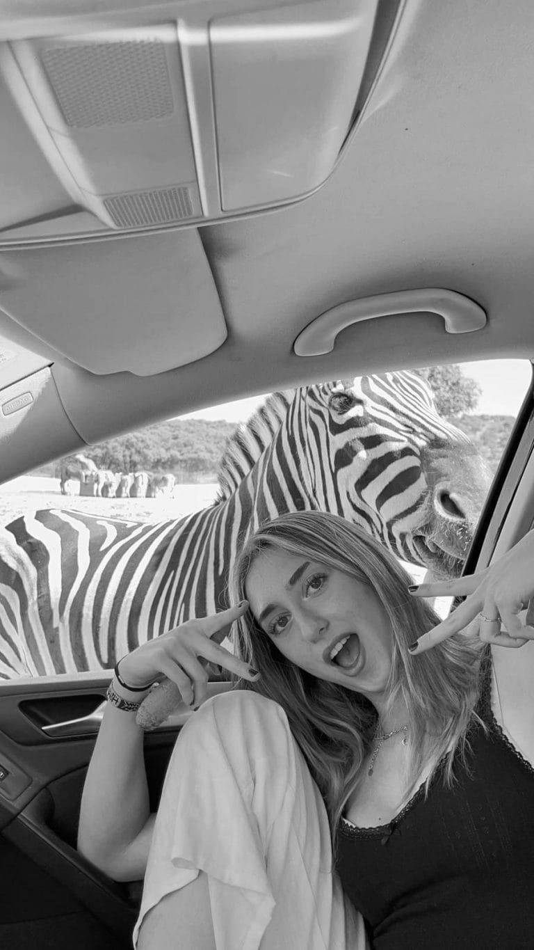 Safari Park Madrid Zebra bnw - Madridallincluded.com