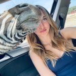 Safari Park Madrid Zebra color – Madridallincluded.com