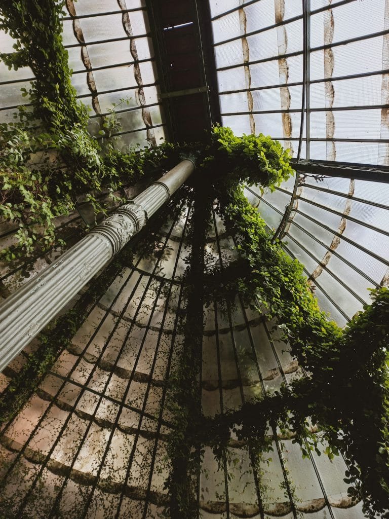 Madrid Real Botanic Garden by Anastasiia-Dudnyk - madridallincluded.com