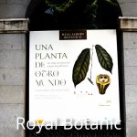 17857351512196414_madridallincluded