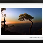 Mallorca fairytale forest! A magical pathway leading to a beach paradise at sunset 1920