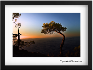 Mallorca fairytale forest! A magical pathway leading to a beach paradise at sunset 300