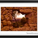 Peek-a-boo! Found a little slice of paradise peeking through a stone wall in Mallorca 1920