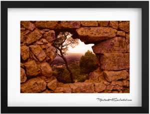 Peek-a-boo! Found a little slice of paradise peeking through a stone wall in Mallorca 300