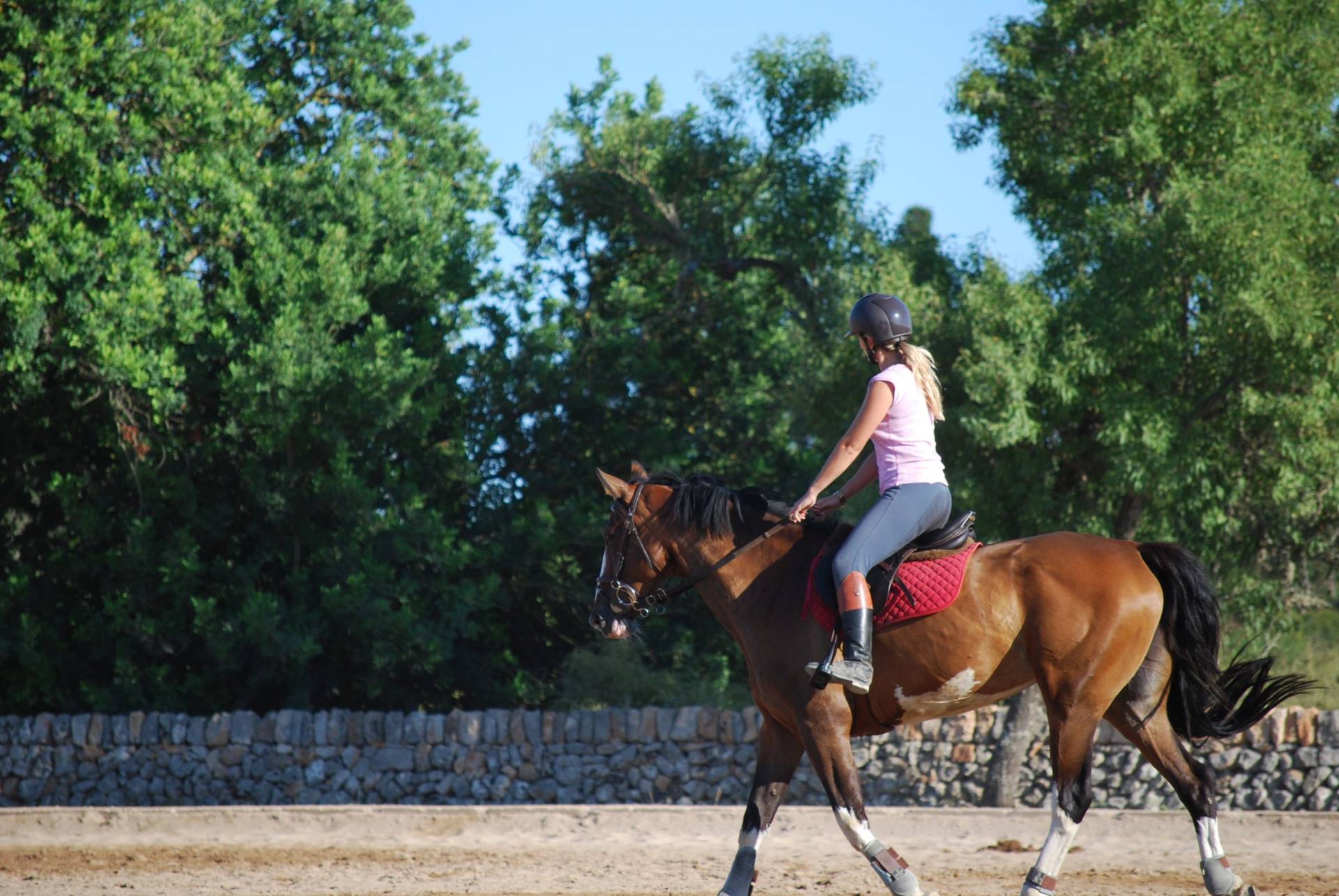 Horse riding Madridallincluded.com